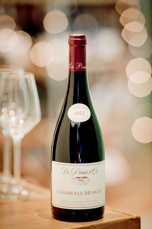 Domaine de la Pousse d'Or, Chambolle Musigny 2022