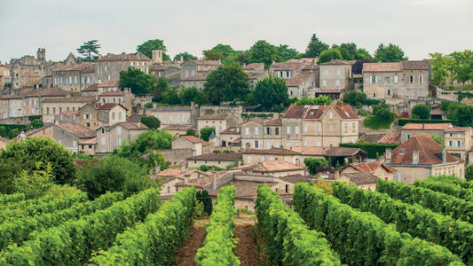 French Wine Course Pt 3: Bordeaux - 7pm, Friday 24th October