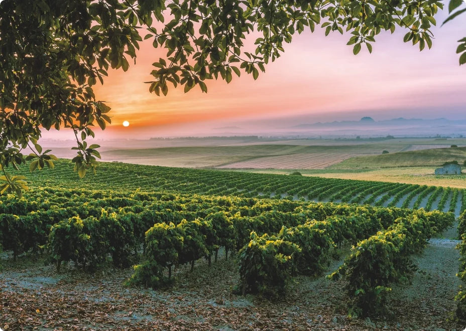 Spain beyond Rioja - 7pm, Friday 12th June