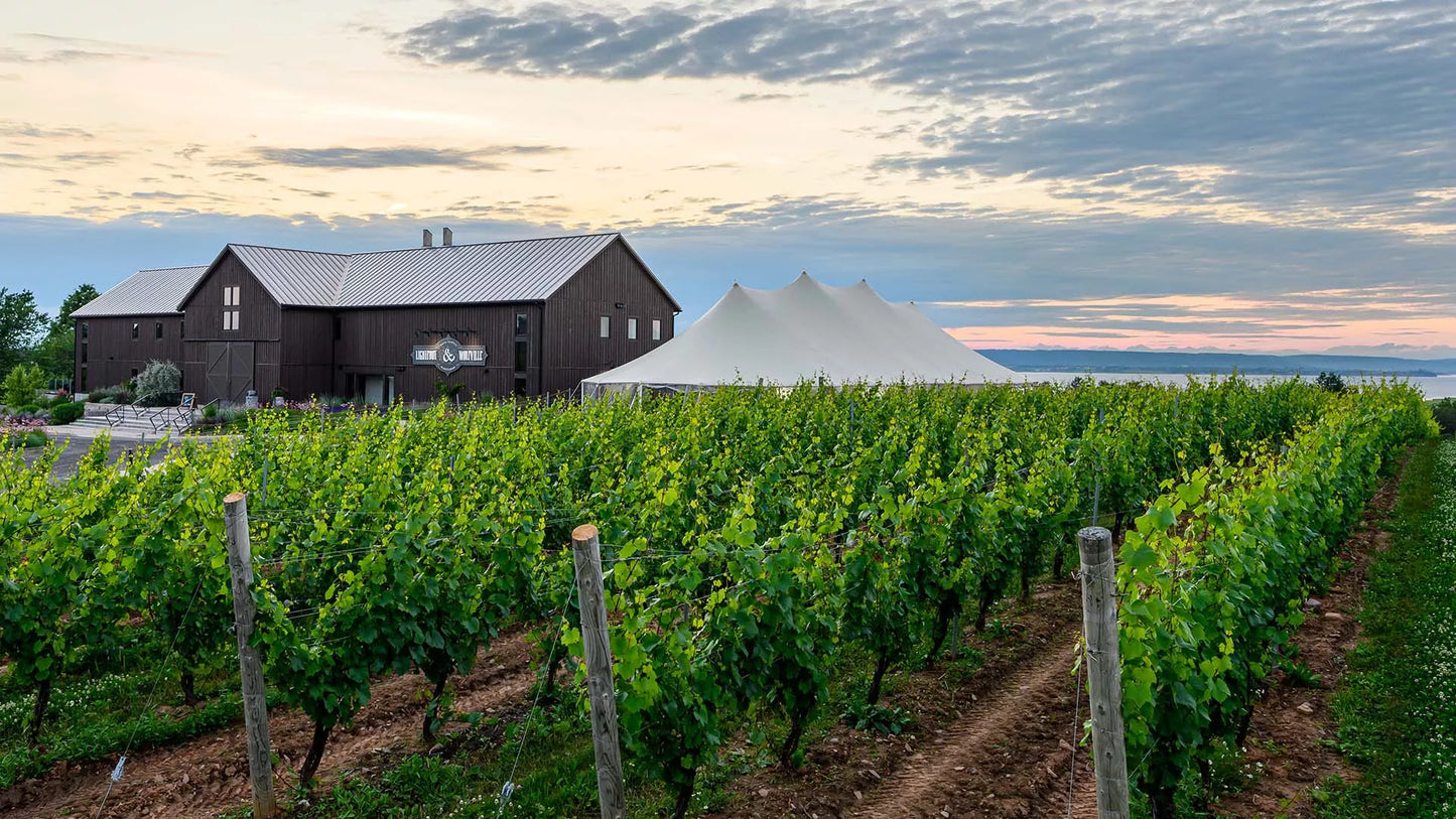 Nova Scotia Wine Tasting, Meet the expert! - 7pm, Friday 15th May